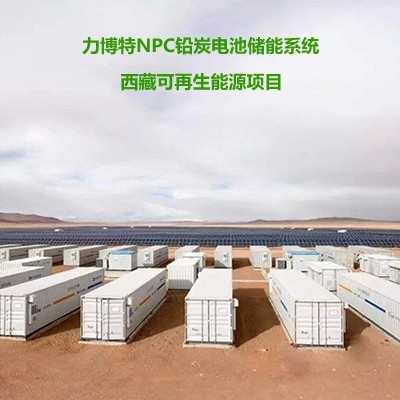 力博特 NPC系列铅碳电池